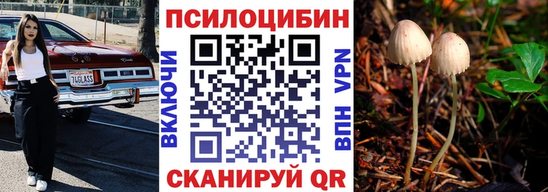 Псилоцибиновые грибы мицелий  Далматово 